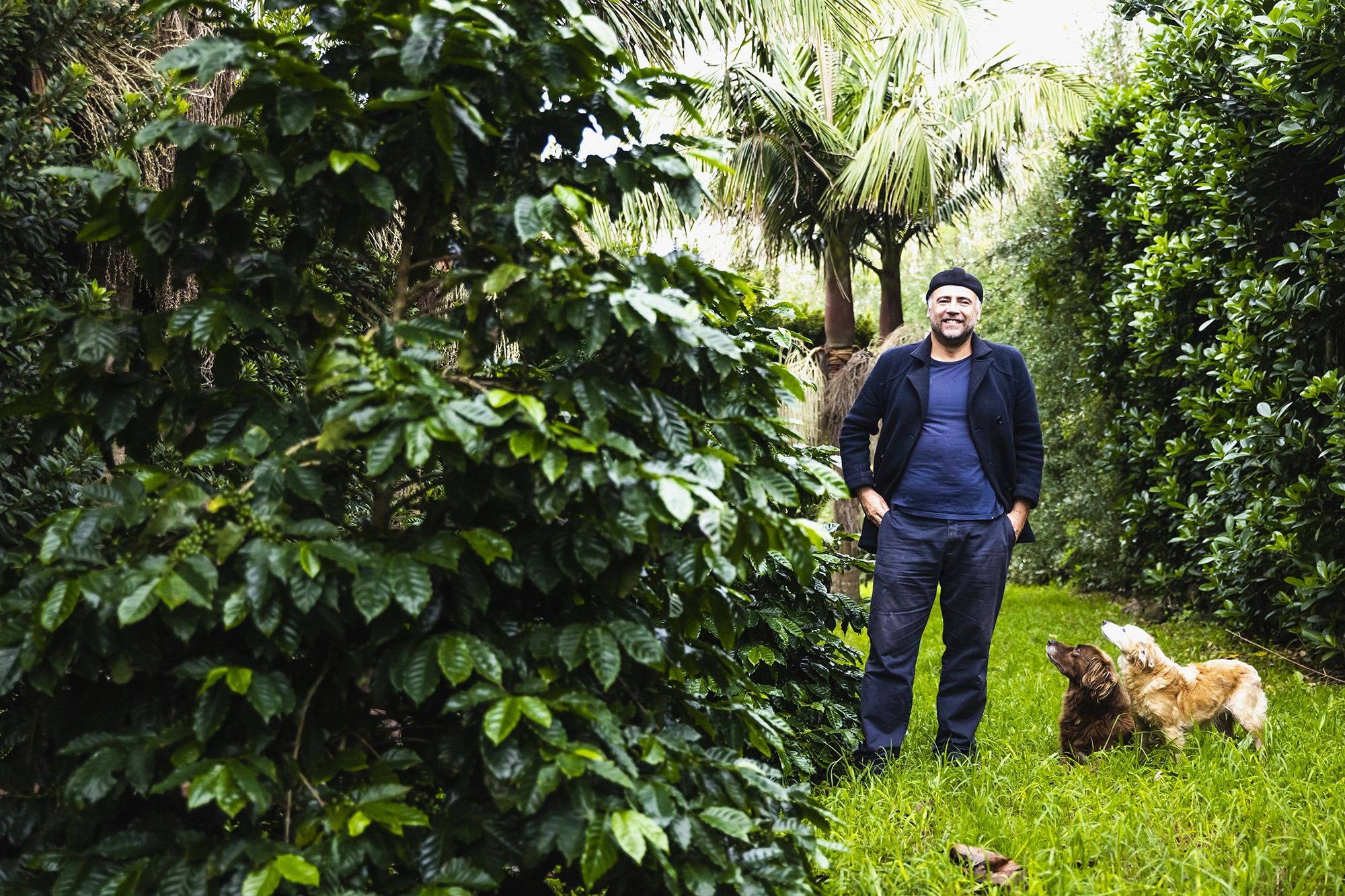 The first Portuguese coffee is grown in the Azores and results from a partnership with local producers and regional institutions.